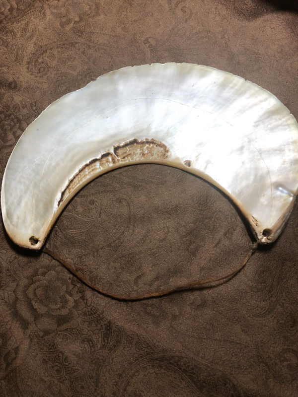 Gorgeous Kina Shell Pectoral from Papua New Guinea - Image 5
